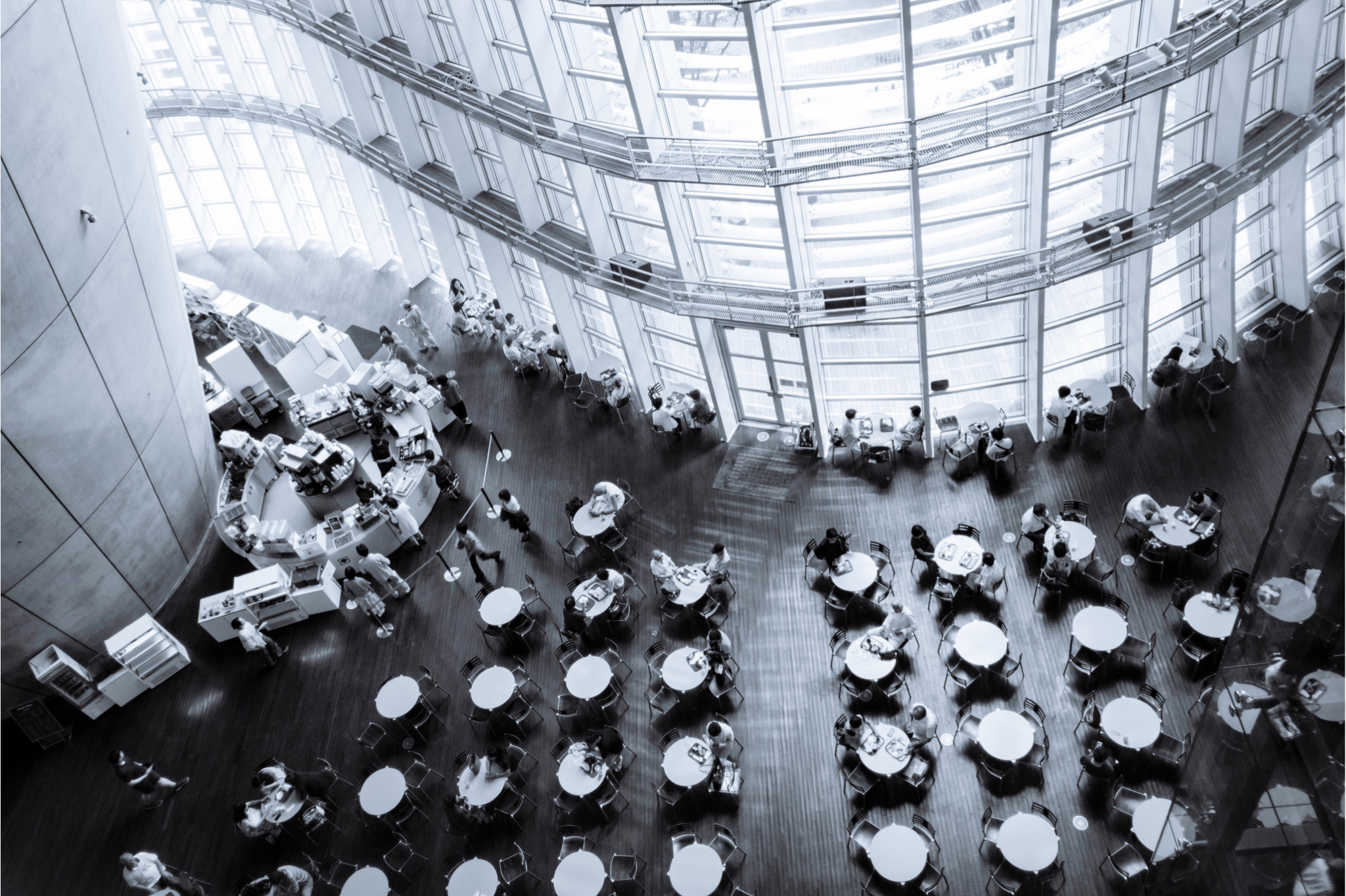 Untitled design - 2025-01-03T170700.760